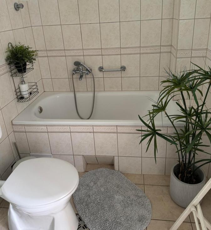 Pelini - 2 Aparthotel Szentendre Exteriör bild