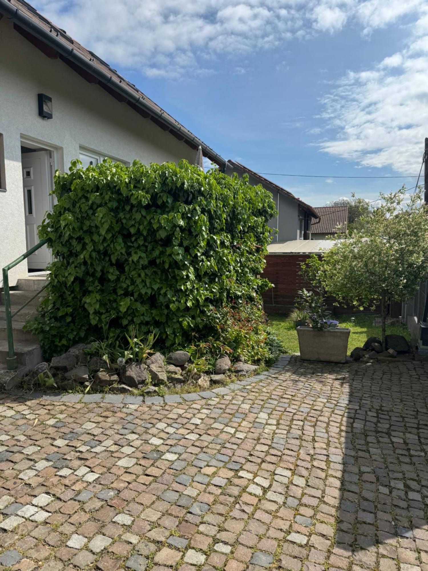 Pelini - 2 Aparthotel Szentendre Exteriör bild