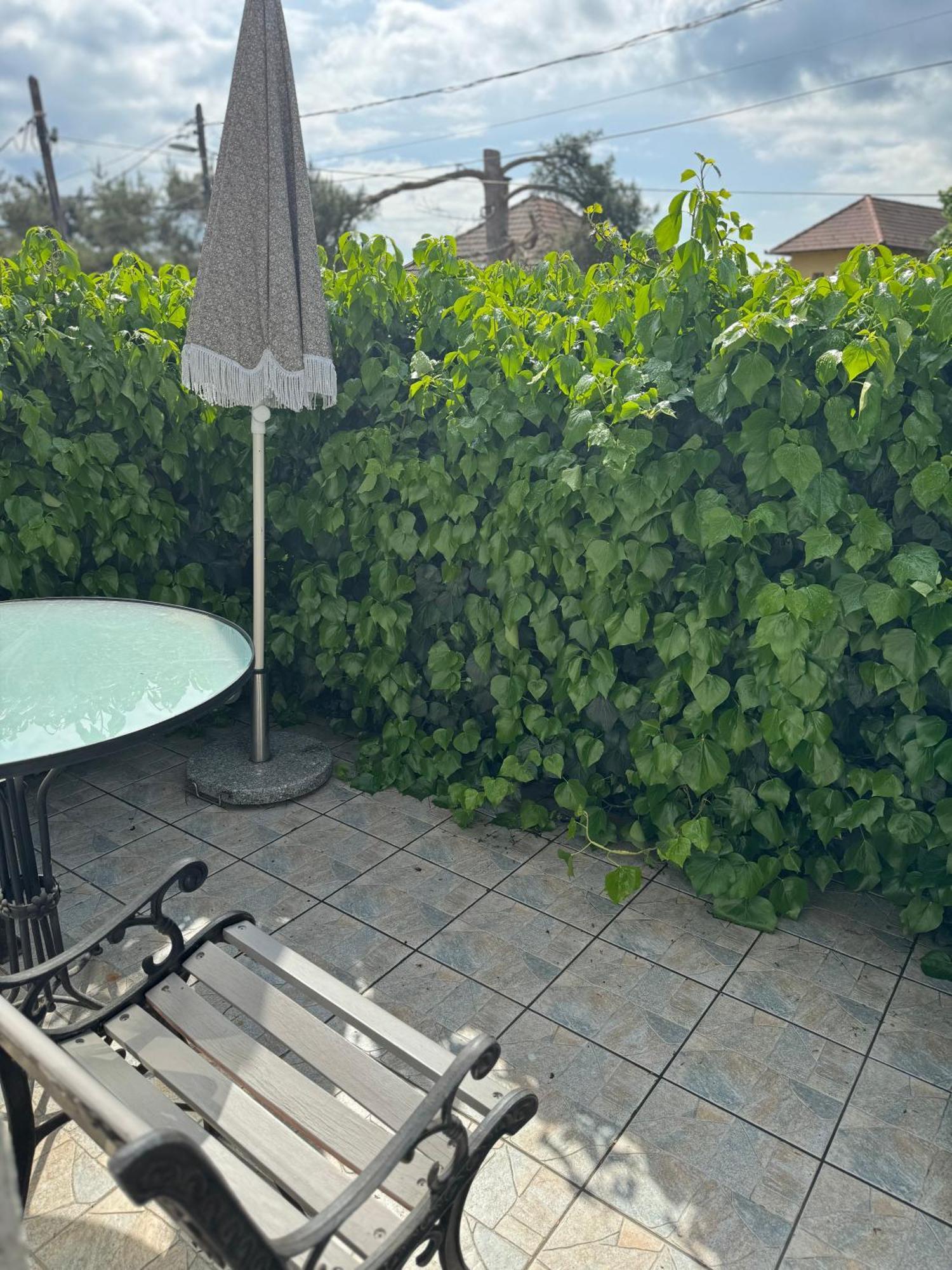 Pelini - 2 Aparthotel Szentendre Exteriör bild