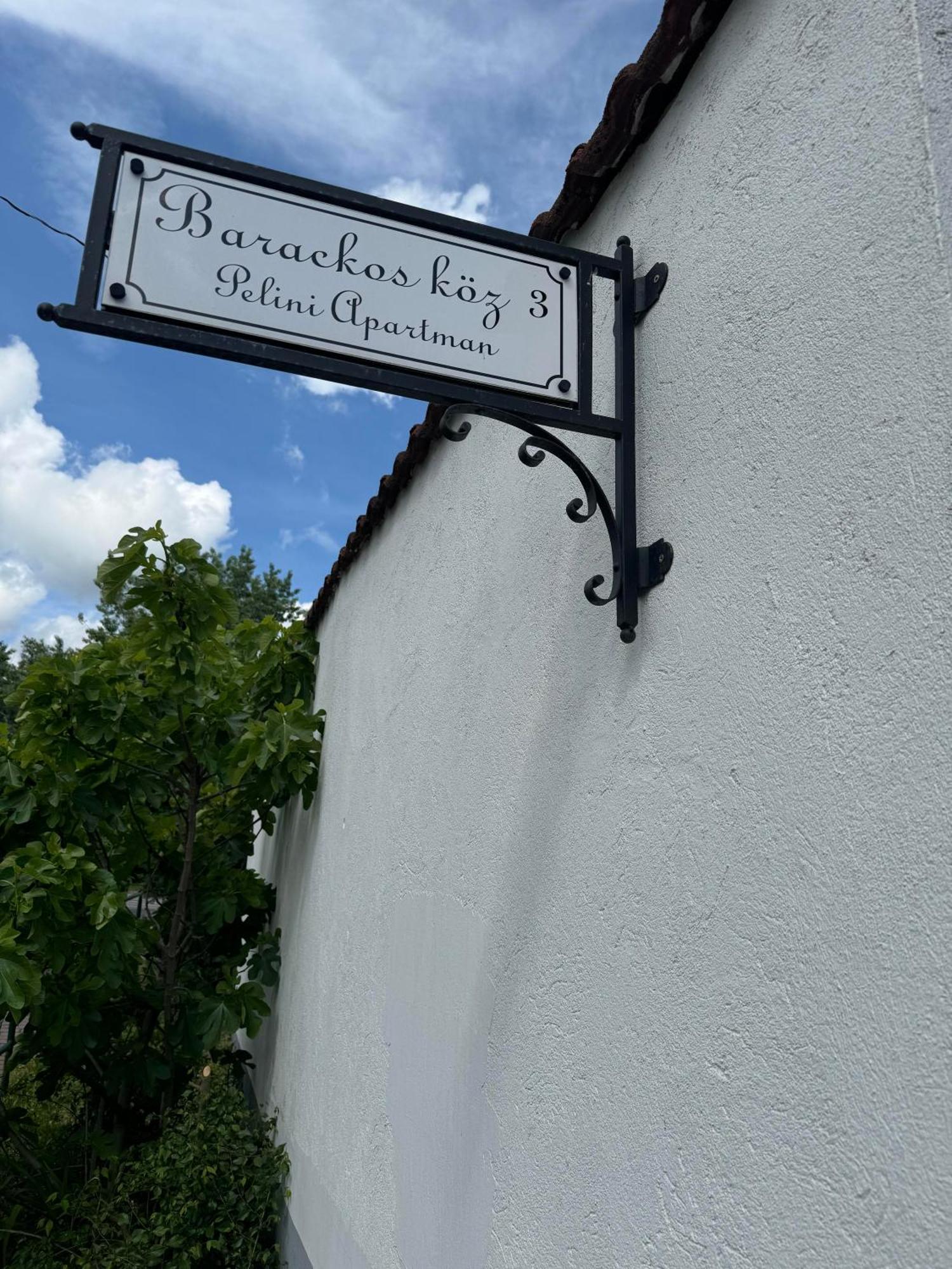 Pelini - 2 Aparthotel Szentendre Exteriör bild